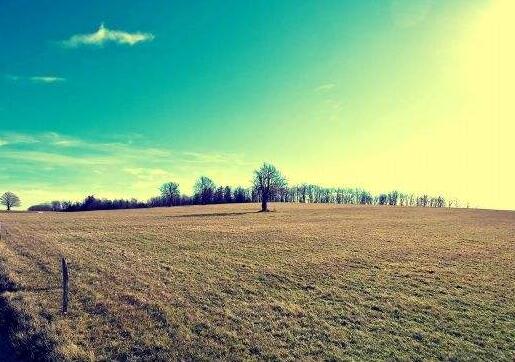 摘抄描写优美句子（摘写优美的句子）(图1)