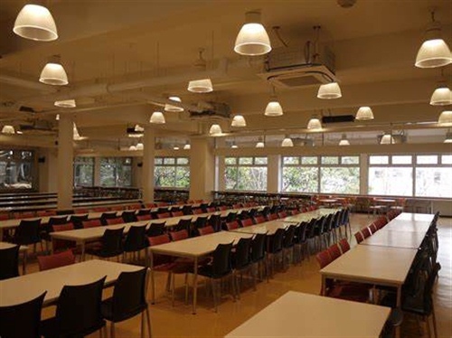 敬老爱幼名言五句（关于敬老爱幼的词语）(图1)