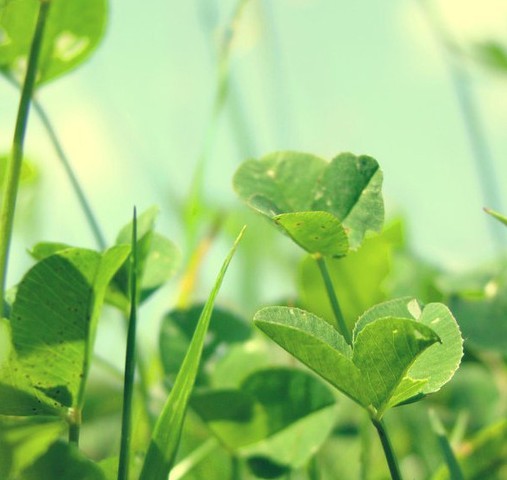 教师格言教育感言(教师教育格言大全励志)(图1) 教师格言教育感言(教师教育格言大全励志)(图1)