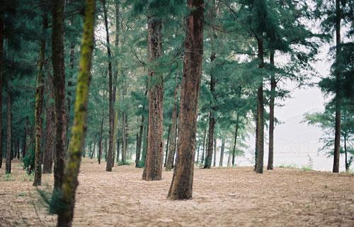 撒野蒋丞励志语录，撒野蒋丞的经典句子(图1)