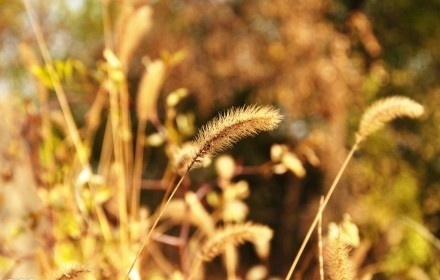 教育情怀的格言6,教育情怀的名人名言(图1) 教育情怀的格言6,教育情怀的名人名言(图1)