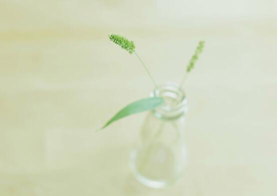 敢于放弃的励志句子,要敢于放弃作文(图1) 敢于放弃的励志句子,要敢于放弃作文(图1)