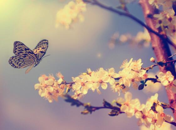 文明礼仪四字名言 文明礼仪四字名言警句(图1)