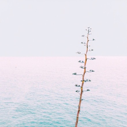 文案短句专用配图 文案短句配图片(图1)