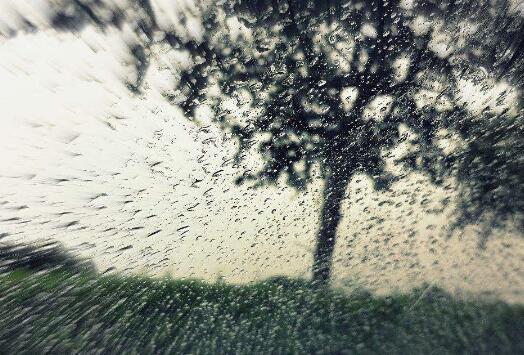 文案短句忠于自己 文案短句忠于自己的句子(图1)