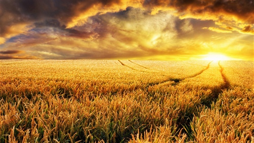 文字表达优美的句子 文字优美怎么形容(图1)