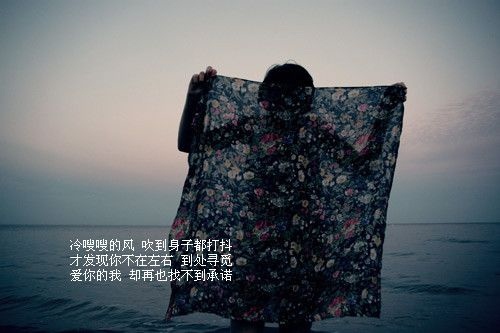 故事经典语录大全 故事的经典语录(图1)