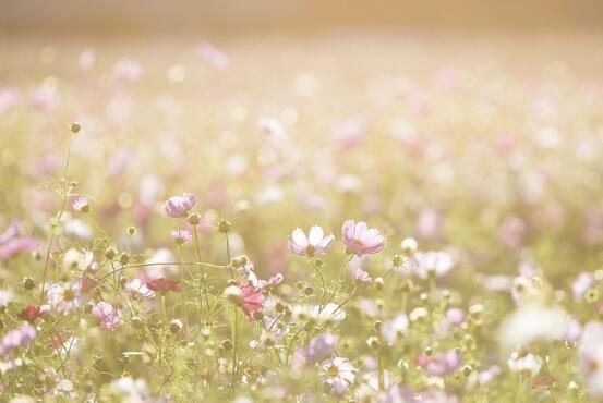 教师德育格言大全 教师德育格言大全简短一句话(图1)