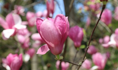 无限恐怖句子经典语录 无限恐怖的结局是啥样的(图1)