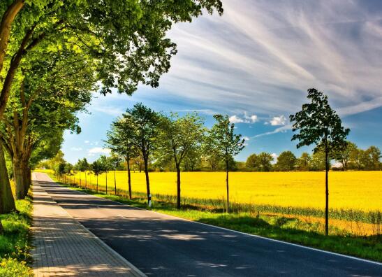 既相遇莫相忘情感语录 既相遇,莫相忘什么意思(图1) 既相遇莫相忘情感语录 既相遇,莫相忘什么意思(图1)