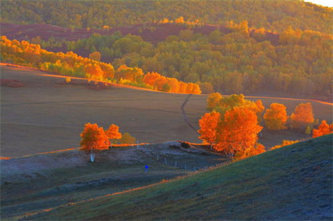 日三省吾身励志名言 关于吾日三省吾身的议论文(图1)