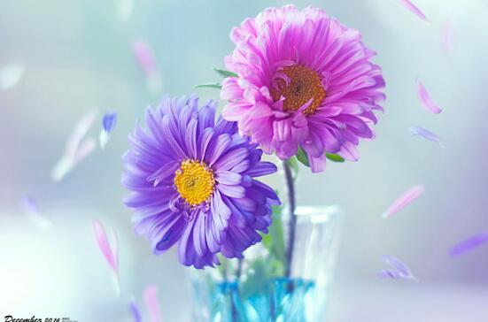 日月交替优美的句子 日月交替的别称是什么(图1)