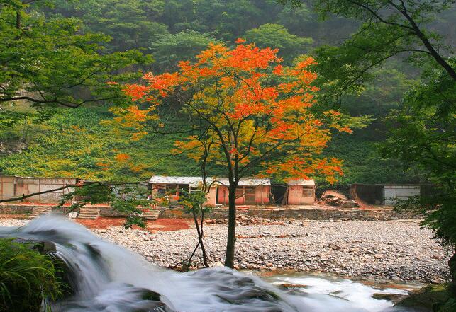 斗方书法作品欣赏名言 斗方书法欣赏高清图片大全(图1) 斗方书法作品欣赏名言 斗方书法欣赏高清图片大全(图1)