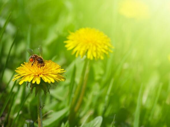 斗罗大陆经典励志句子 斗罗大陆金句(图1)