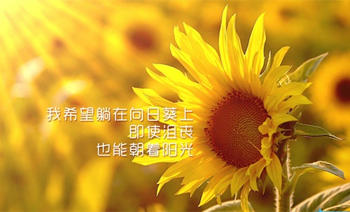 新年礼盒文案短句 新年礼盒文案短句图片(图1) 新年礼盒文案短句 新年礼盒文案短句图片(图1)