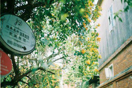 早读励志正能量语录 早读励志语录(图1) 早读励志正能量语录 早读励志语录(图1)