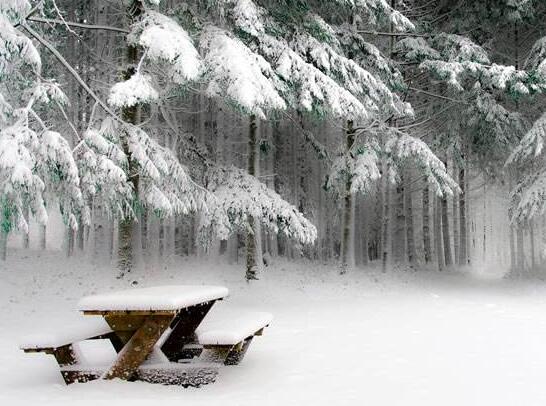 旅途唯美简短句子 旅途的短句(图1)