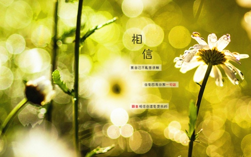 日出夕阳唯美的句子 日出夕阳唯美的句子短句图片(图1)