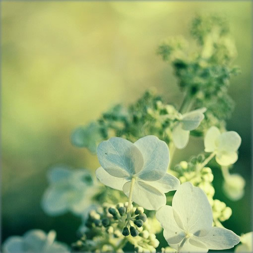 日日撩人语录励志 日日撩人漫画免费十六话(图1) 日日撩人语录励志 日日撩人漫画免费十六话(图1)