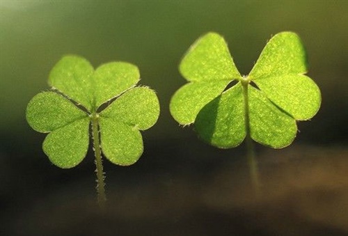 日程安排英文短句励志 关于日程安排的英语句子有哪些(图1)