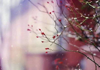 星期六日上班的说说 周六上班的朋友圈图片(图1)