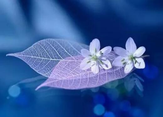 早安太阳心语简短 早安太阳心语发朋友圈(图1) 早安太阳心语简短 早安太阳心语发朋友圈(图1)