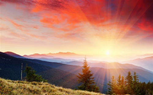 春节买酒经典语录 过年买酒注意事项和细节(图1)