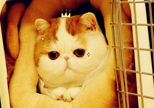 早间经典励志语录 好的早间励志语(图1) 早间经典励志语录 好的早间励志语(图1)