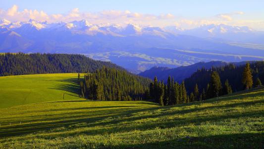 春风微微吹过优美的句子 春风微微吹过优美的句子是什么呢(图1) 春风微微吹过优美的句子 春风微微吹过优美的句子是什么呢(图1)