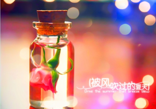 暂时告别唯美句子短语 暂时告别的话 唯美诗句(图1) 暂时告别唯美句子短语 暂时告别的话 唯美诗句(图1)