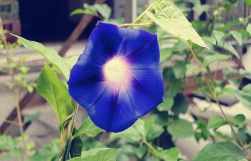 曹德旺经典语录读书 曹德旺悟透的六句话是什么(图1)