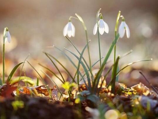 曾经走过的路说说 曾经走过的路说说(图1) 曾经走过的路说说 曾经走过的路说说(图1)