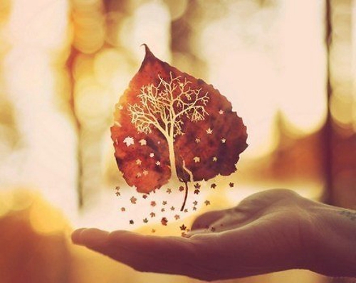 晒照片风景的优美句子 晒照片风景的优美句子短句(图1)