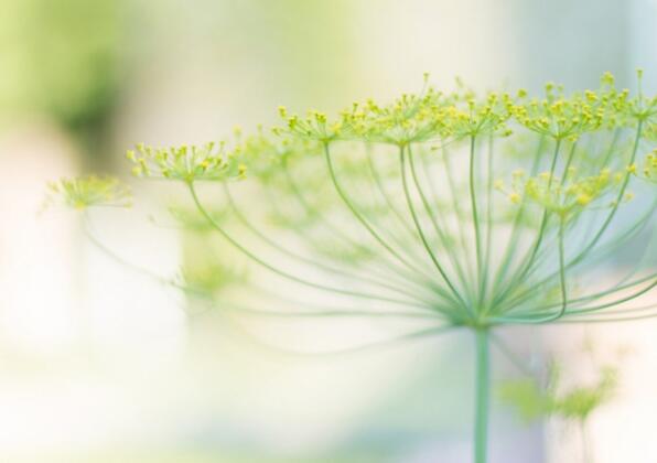 最美晚霞文案短句 晚霞唯美的短文案图片(图1) 最美晚霞文案短句 晚霞唯美的短文案图片(图1)