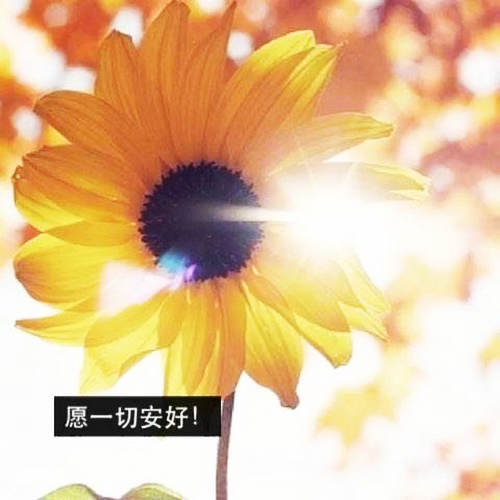 暖心零食寄语短句 暖心零食寄语短句大全图片(图1)