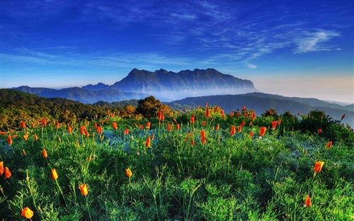 有关于旅行的名人名言 关于旅行的名言英语句子(图1)