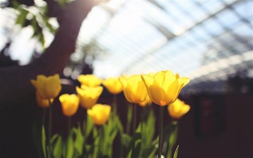 有关光的唯美短句 关于光的文案句子(图1)