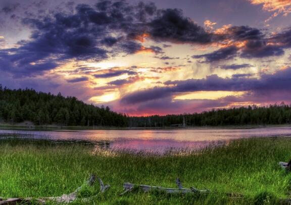 有关勤劳的格言警句 有关勤劳的名言警句短(图1)