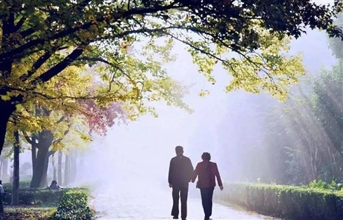 有关大学的格言英语 有关于大学的英语词汇有哪些(图1) 有关大学的格言英语 有关于大学的英语词汇有哪些(图1)