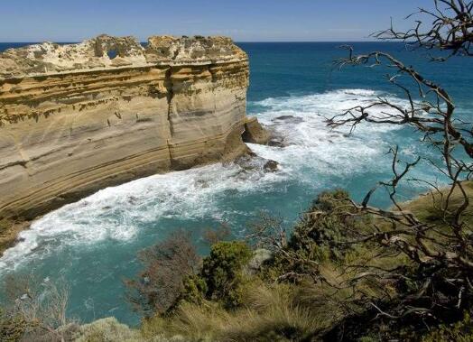 有关带刺玫瑰社会语录 带刺的玫瑰说说短句(图1)