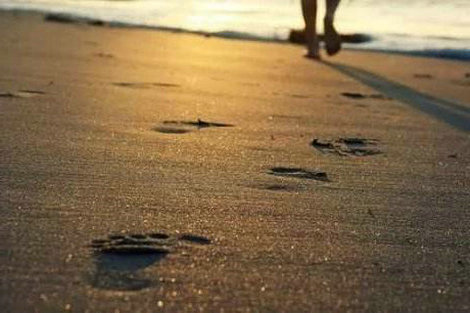 最狠毒舌语录毒鸡汤 精辟的毒舌语录(图1)