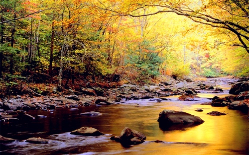 有关接力奋斗的名言 有关接力奋斗的名言警句(图1) 有关接力奋斗的名言 有关接力奋斗的名言警句(图1)