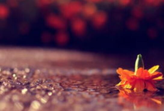 最近情绪波动的说说 最近情绪波动的说说句子搞笑(图1) 最近情绪波动的说说 最近情绪波动的说说句子搞笑(图1)