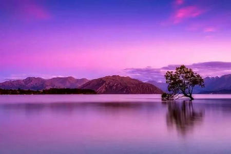 有关母亲的的名言 关于母亲的名言10字(图1) 有关母亲的的名言 关于母亲的名言10字(图1)