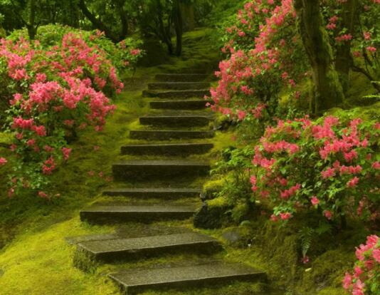 月底文案短句干净 月底说说心情句子(图1) 月底文案短句干净 月底说说心情句子(图1)