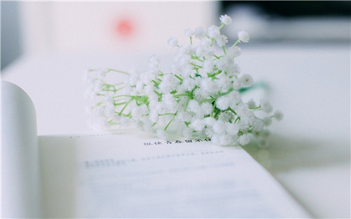 有关星辰的成语或短句 形容星辰的(图1)