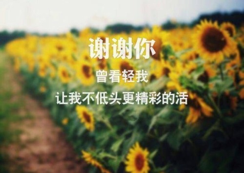 有关自由的句子或名言 有关于自由的句子(图1) 有关自由的句子或名言 有关于自由的句子(图1)