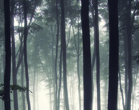 有关读书的格言标语 有关读书格言的句子(图1)