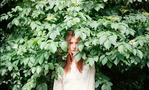 有情人难成眷属的格言 有情人终成眷属什么意思(图1)