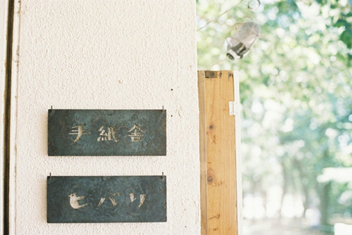 有关青春格言三句 诗歌朗诵《致青春》原文(图1) 有关青春格言三句 诗歌朗诵《致青春》原文(图1)